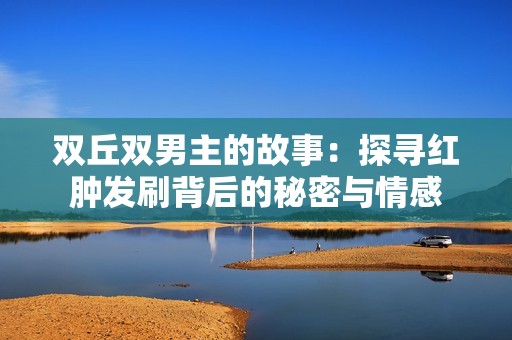 双丘双男主的故事：探寻红肿发刷背后的秘密与情感