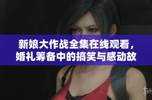 新娘大作战全集在线观看，婚礼筹备中的搞笑与感动故事
