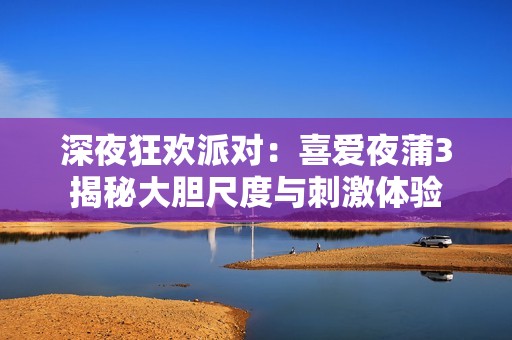 深夜狂欢派对：喜爱夜蒲3揭秘大胆尺度与刺激体验