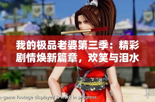 我的极品老婆第三季：精彩剧情焕新篇章，欢笑与泪水并存