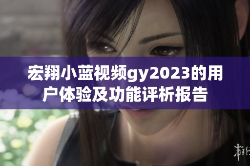 宏翔小蓝视频gy2023的用户体验及功能评析报告
