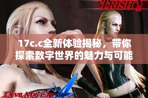 17c.c全新体验揭秘，带你探索数字世界的魅力与可能性