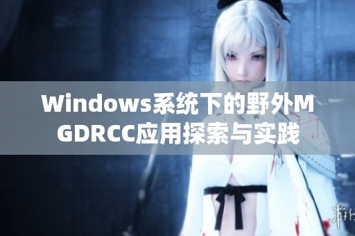 Windows系统下的野外MGDRCC应用探索与实践