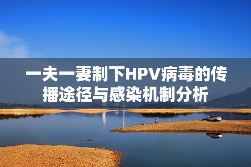 一夫一妻制下HPV病毒的传播途径与感染机制分析