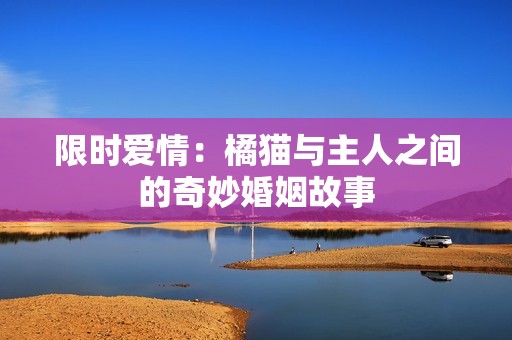 限时爱情：橘猫与主人之间的奇妙婚姻故事