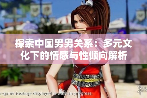 探索中国男男关系：多元文化下的情感与性倾向解析