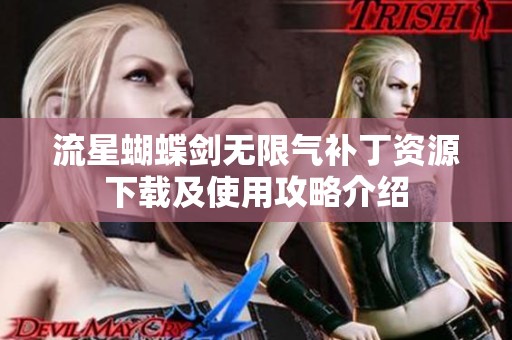 流星蝴蝶剑无限气补丁资源下载及使用攻略介绍