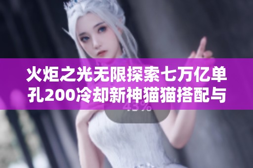 火炬之光无限探索七万亿单孔200冷却新神猫猫搭配与猫2解析